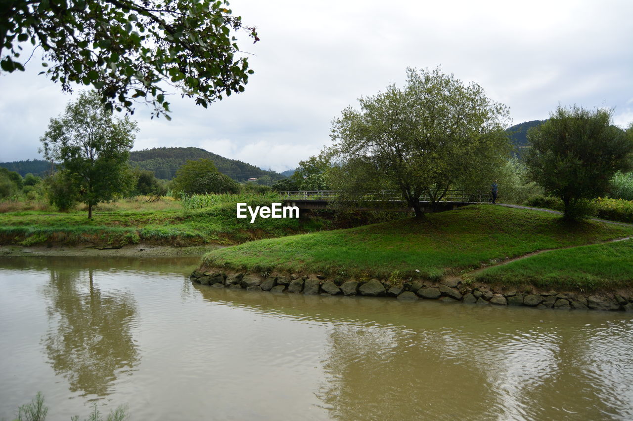 SCENIC VIEW OF LAKE WITH TREES IN BACKGROUND