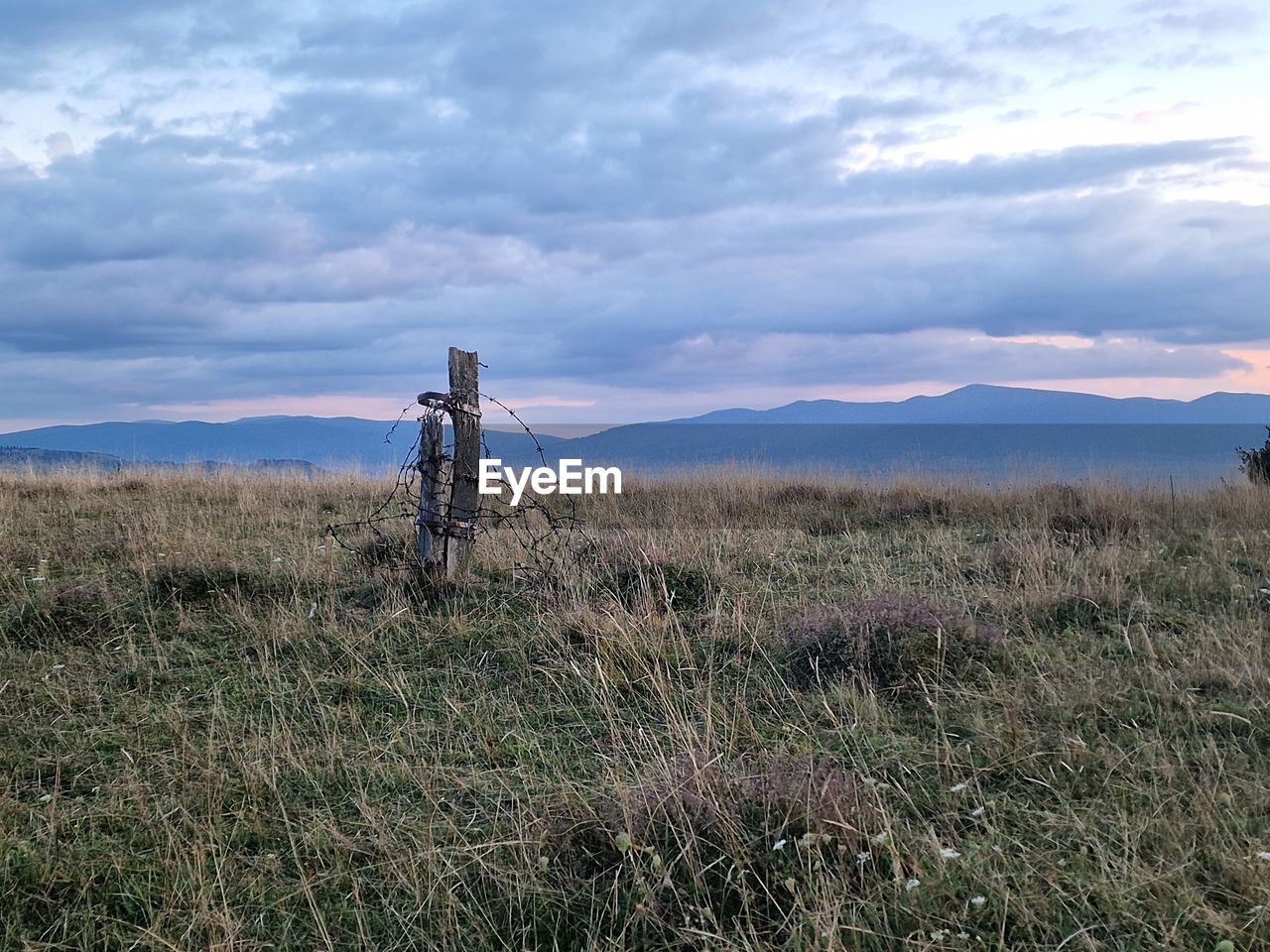 sky, prairie, landscape, grass, environment, plant, wilderness, nature, cloud, land, scenics - nature, natural environment, rural area, hill, beauty in nature, field, steppe, tranquility, no people, non-urban scene, tranquil scene, outdoors, grassland, day, remote, plain, wind, technology, rural scene