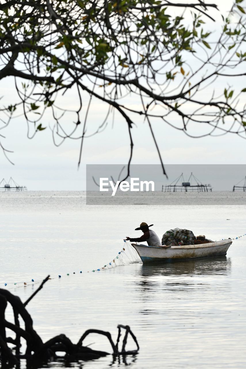 The fisherman. working under the mangrove tree