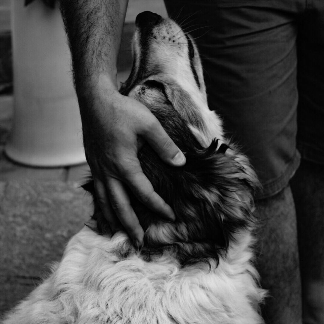 CLOSE-UP OF MAN WITH DOG