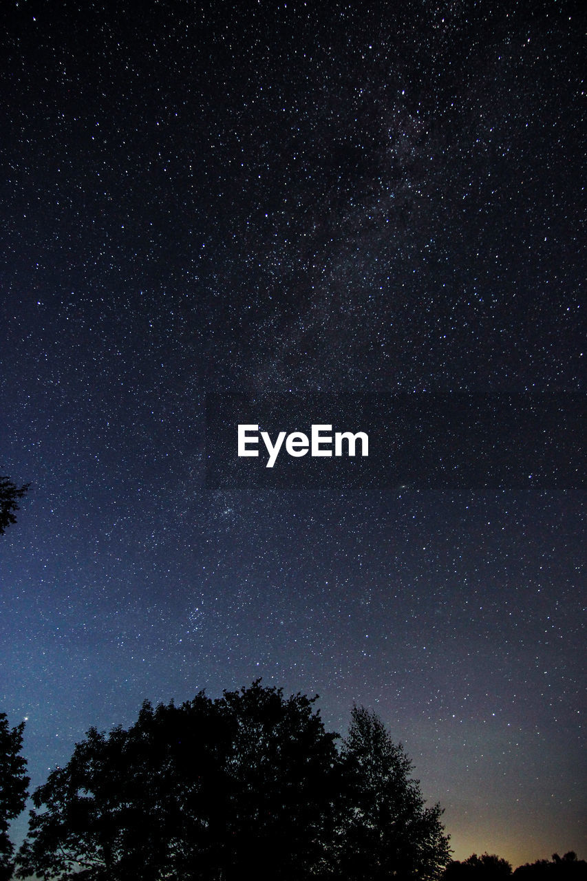 LOW ANGLE VIEW OF SILHOUETTE TREES AGAINST STAR FIELD AGAINST SKY