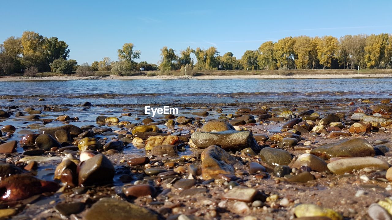 SURFACE LEVEL OF PEBBLE BEACH