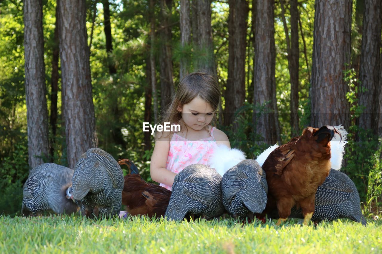 Cute girl sitting amidst birds against trees