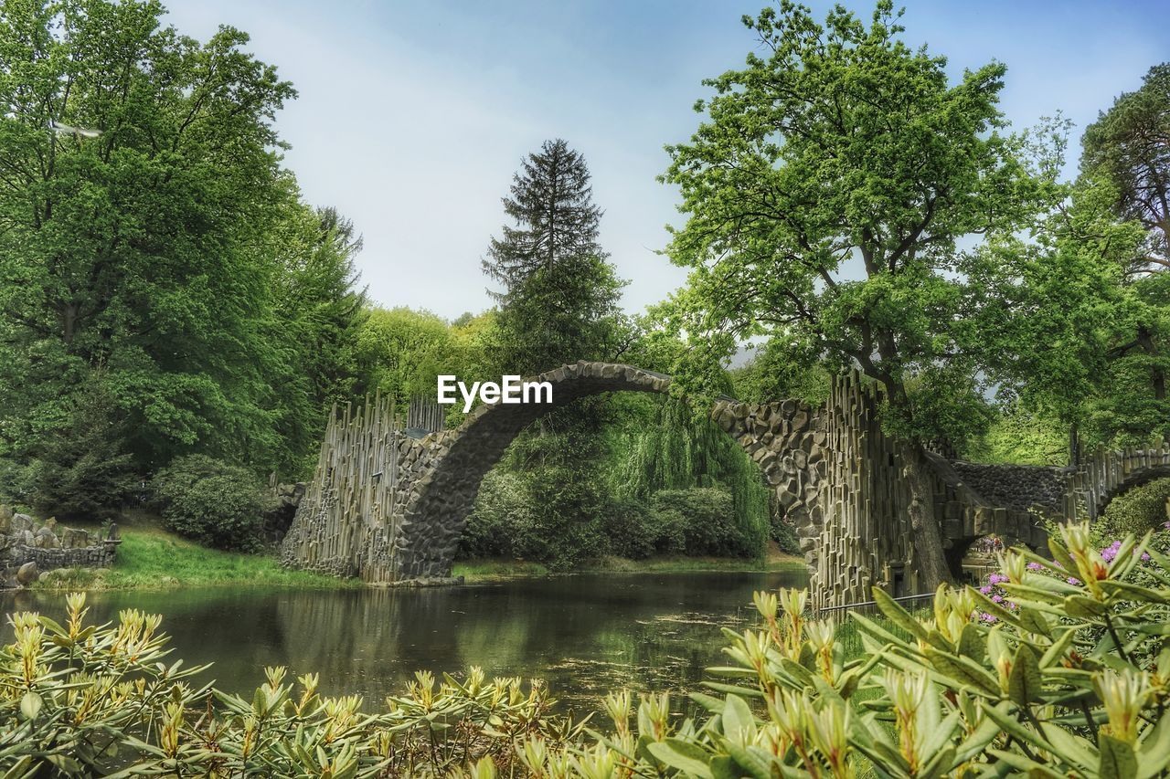 scenic view of lake by trees against sky