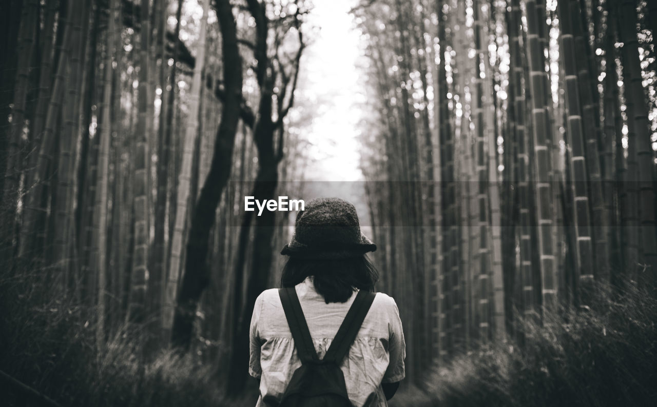 Rear view of woman standing against trees in forest