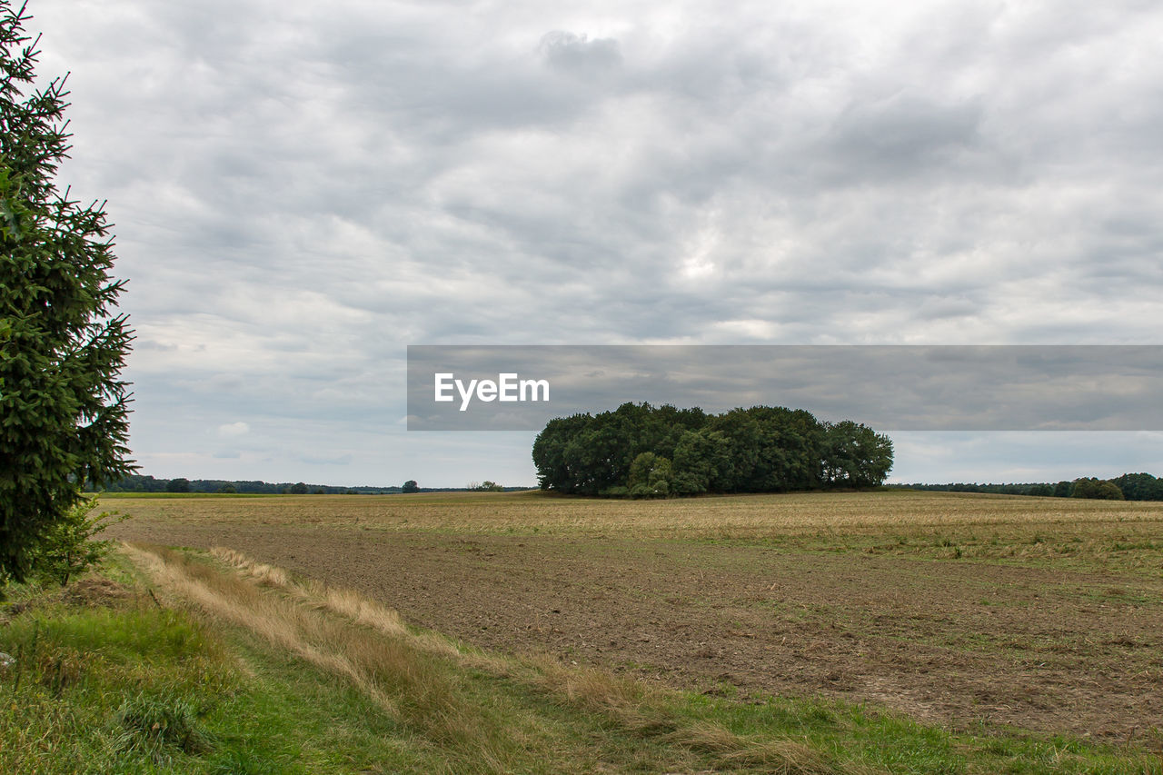 Trees on field against cloudy sky