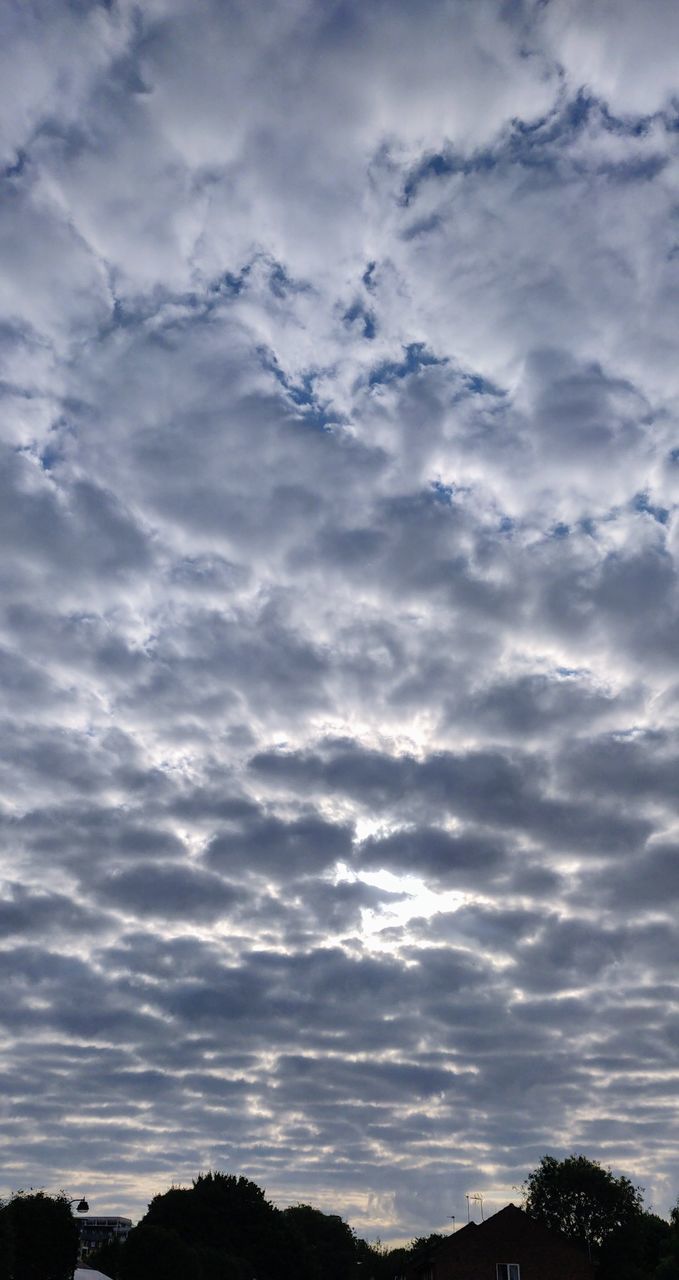 LOW ANGLE VIEW OF SKY