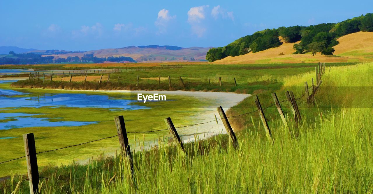 Scenic view of field by lake against sky