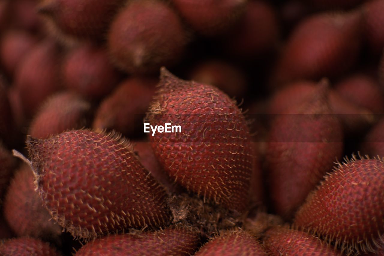 Full frame shot of fruits at market