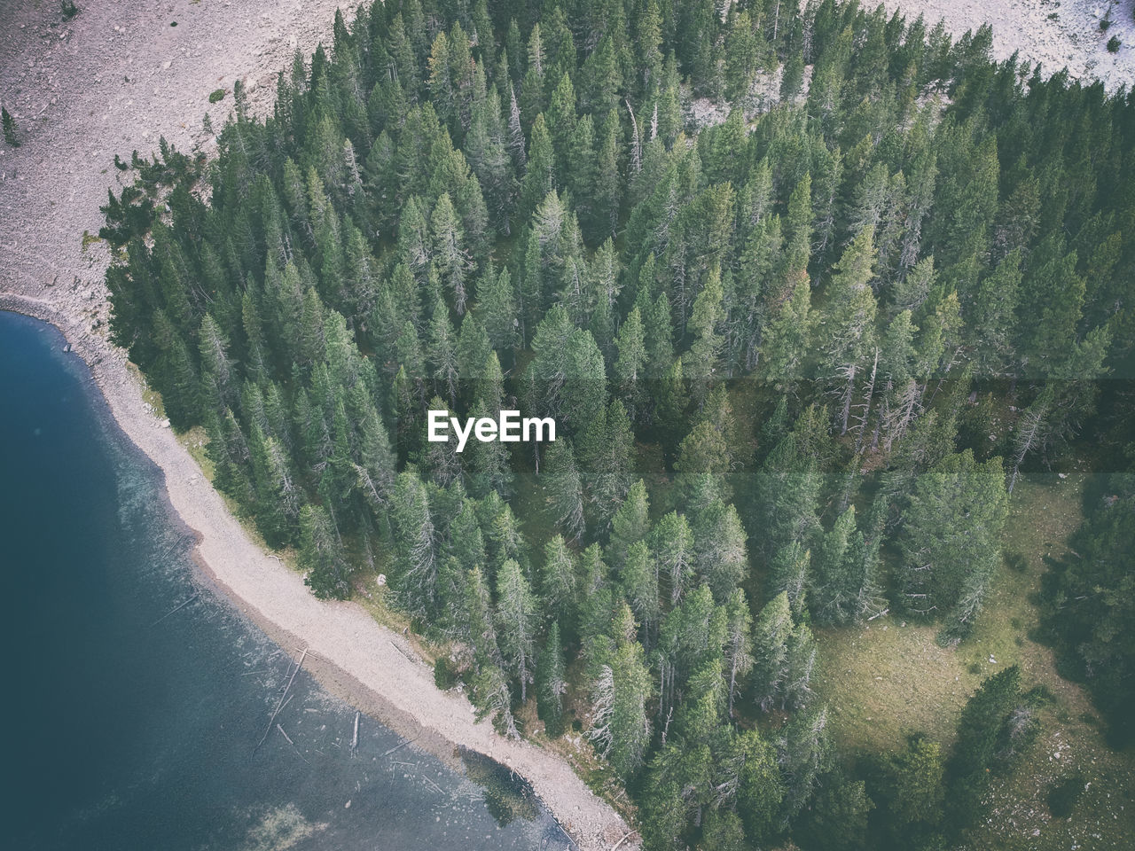 HIGH ANGLE VIEW OF TREES ON LANDSCAPE AGAINST MOUNTAIN