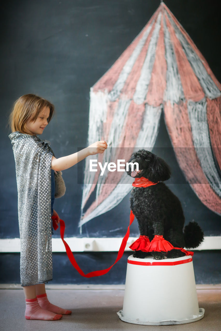 Cute child girl and black poodle dog playing circus. tent drawn in chalk, dog training