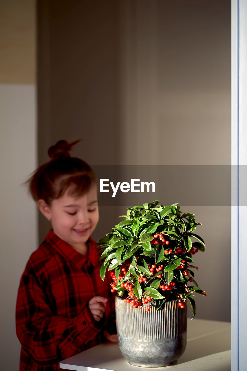 A girl looks at a home plant with berries in a clay pot.