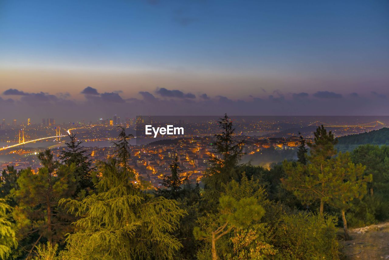 Scenic view of forest against sky at sunset