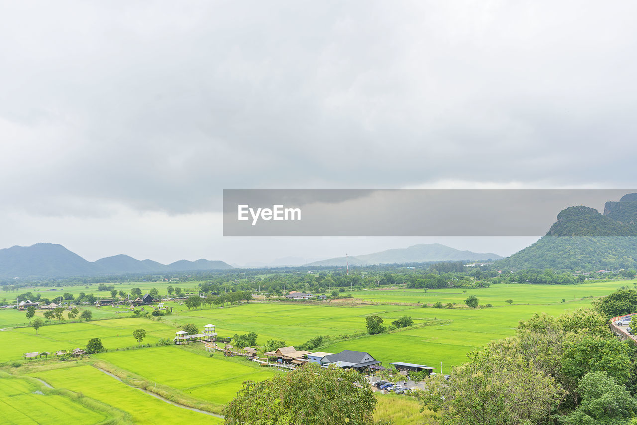 SCENIC VIEW OF GREEN LANDSCAPE AGAINST SKY