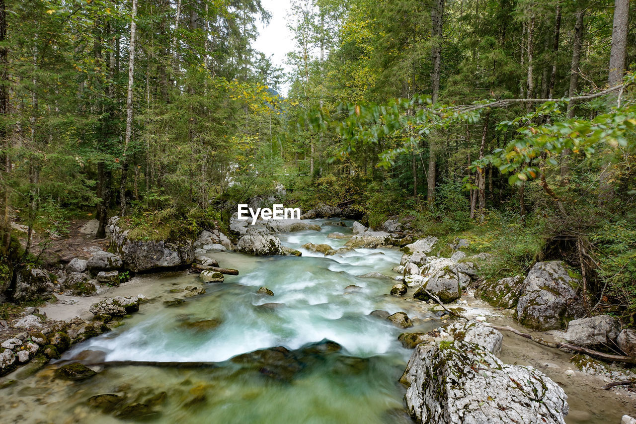 Stream flowing through rocks in forest