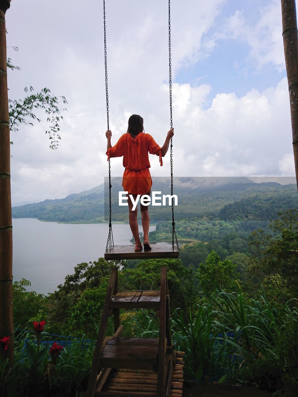 Rear view of woman standing on swing against forest