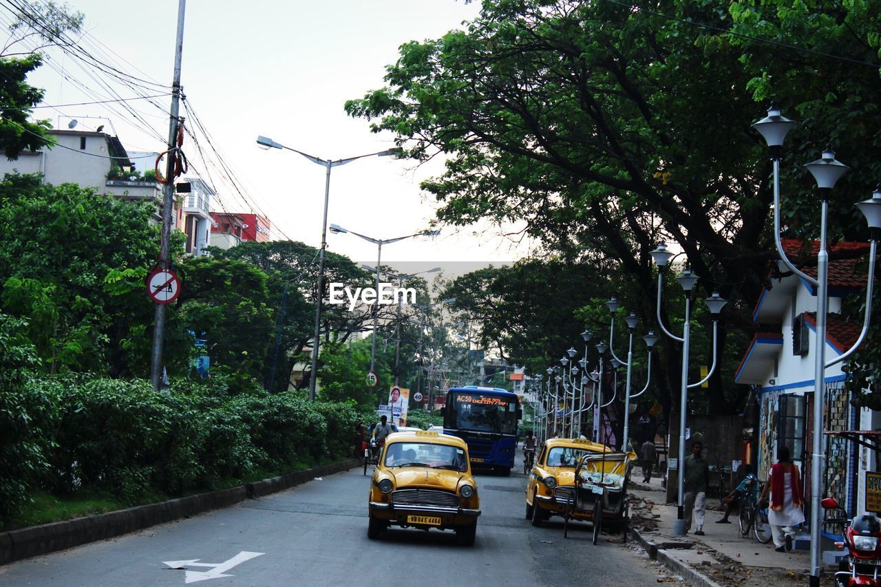 Vehicles on street amidst trees