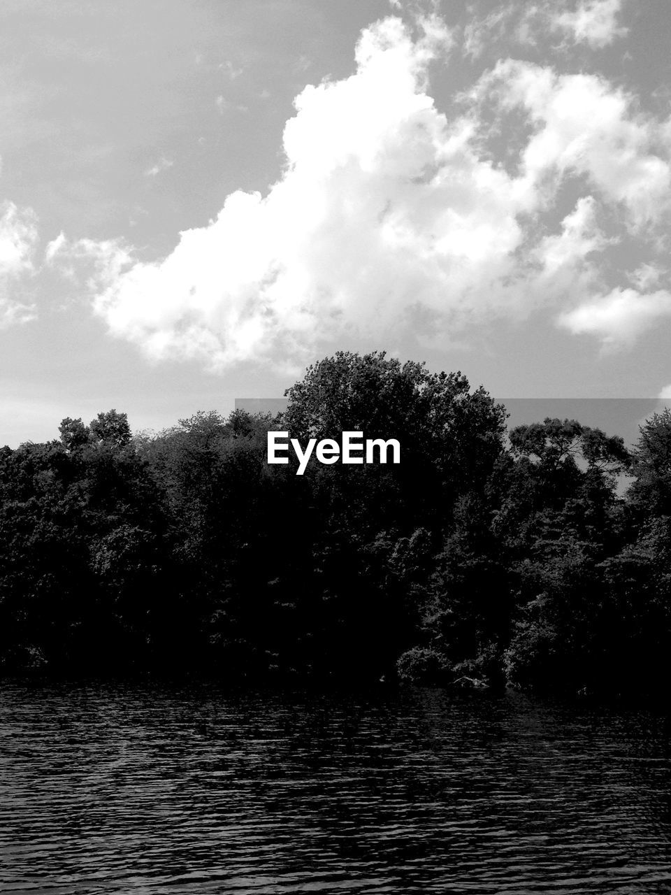 TREE BY RIVER AGAINST SKY