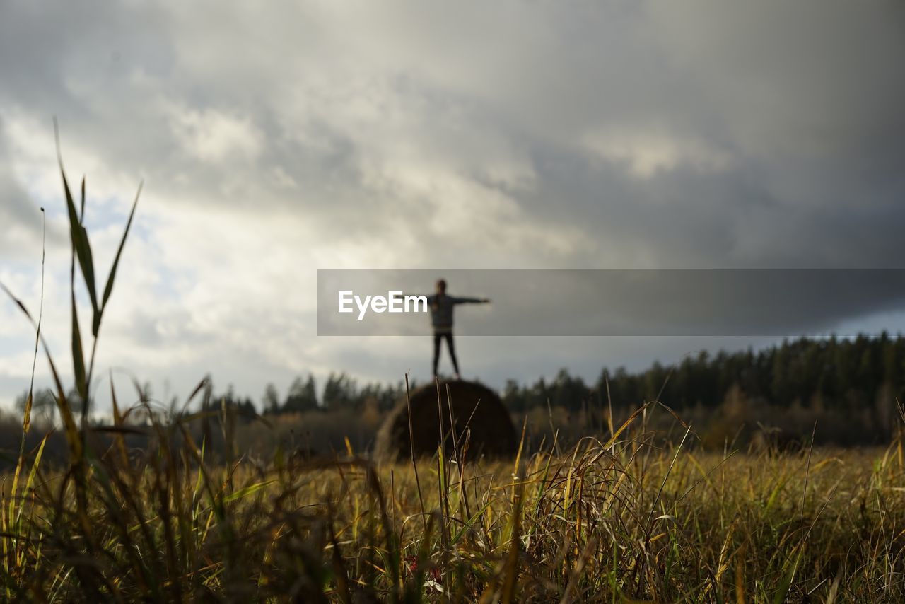 GRASS IN FIELD AGAINST SKY