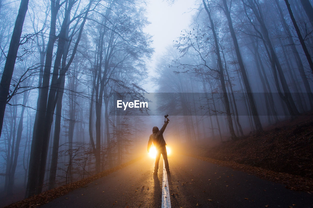 Rear view of person standing on road amidst trees in forest