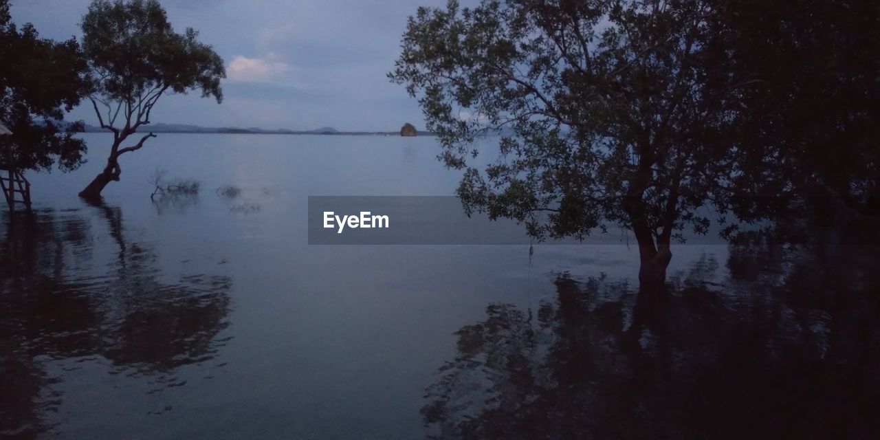 SCENIC VIEW OF LAKE AGAINST SKY AT FOREST