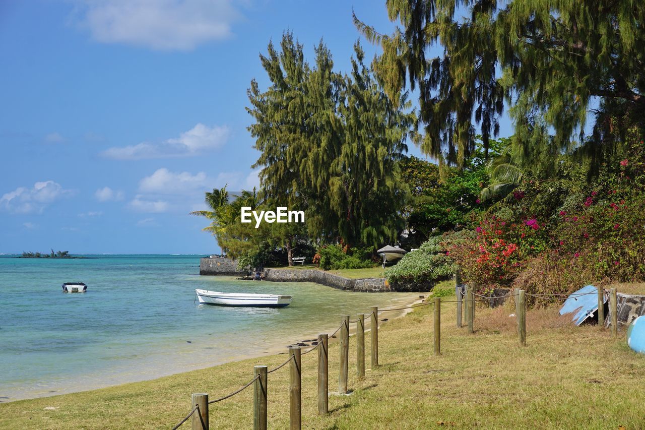 Scenic view of trees by sea against sky