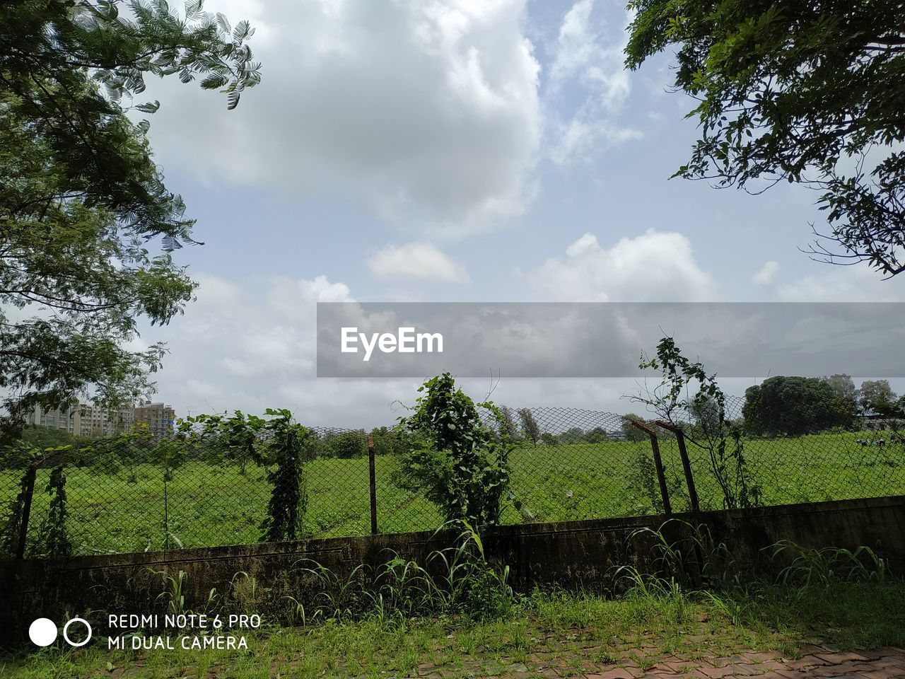 plant, cloud, tree, sky, rural area, grass, nature, fence, landscape, no people, pasture, field, land, environment, green, farm, growth, day, agriculture, meadow, outdoors, protection, security, rural scene, beauty in nature, tranquility, scenics - nature, text