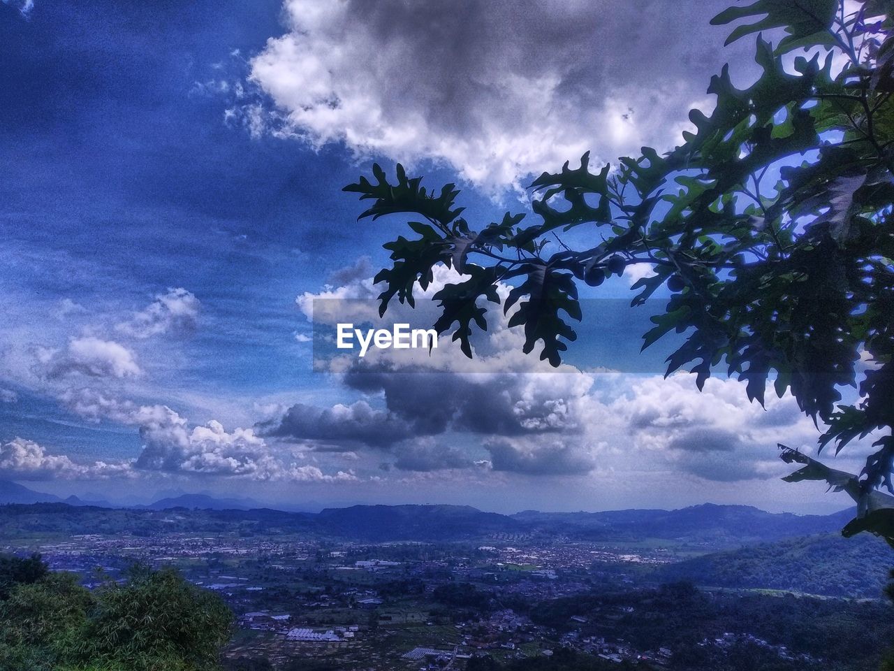 sky, tree, cloud, nature, plant, environment, beauty in nature, scenics - nature, landscape, mountain, sunlight, tranquility, no people, outdoors, horizon, tranquil scene, land, blue, morning, dramatic sky, travel destinations, growth, cloudscape, city, forest