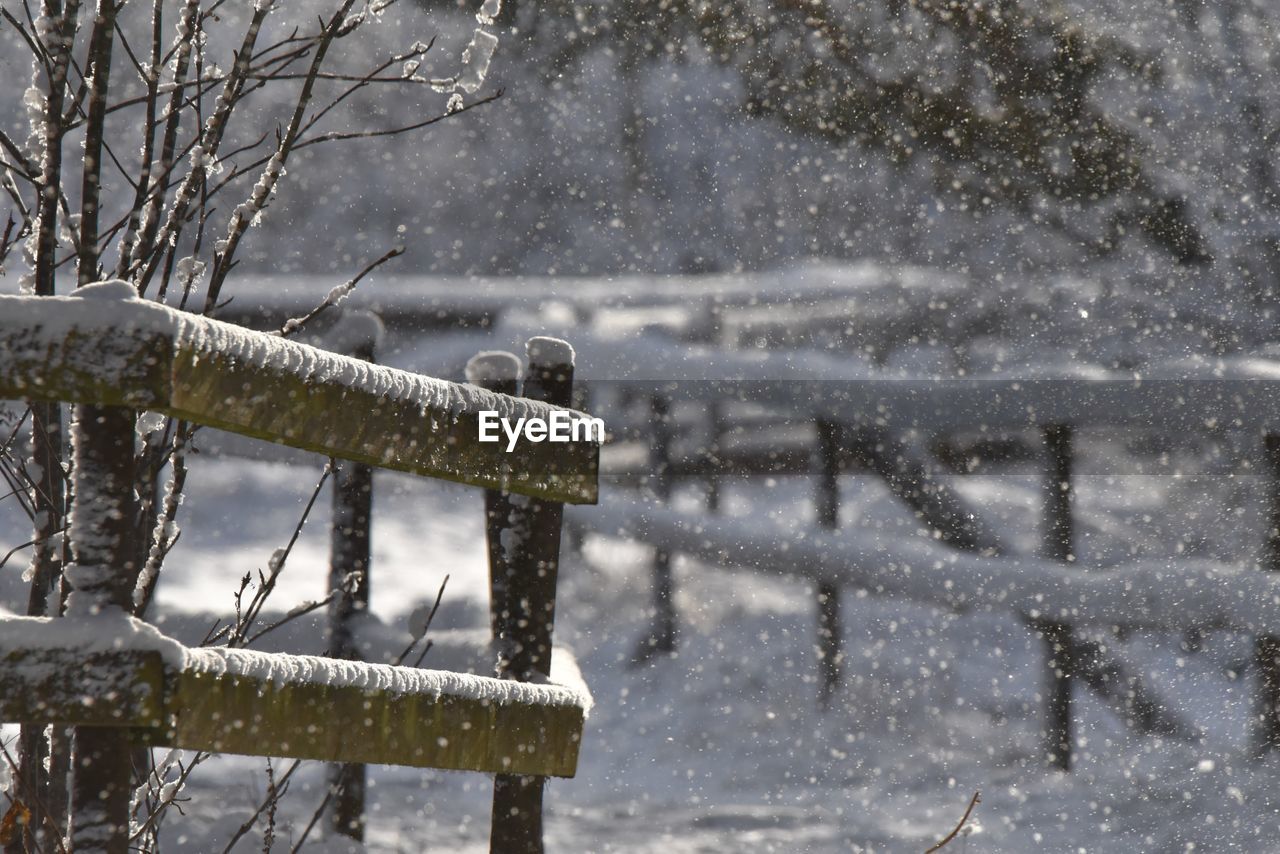 SNOW COVERED FIELD AGAINST TREES