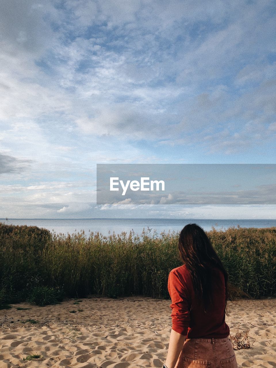 Rear view of woman standing on beach