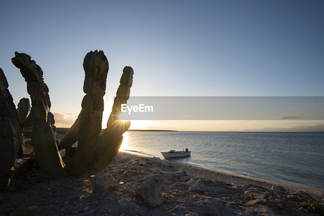 A boat in a beach at del carmen island in loreto bay