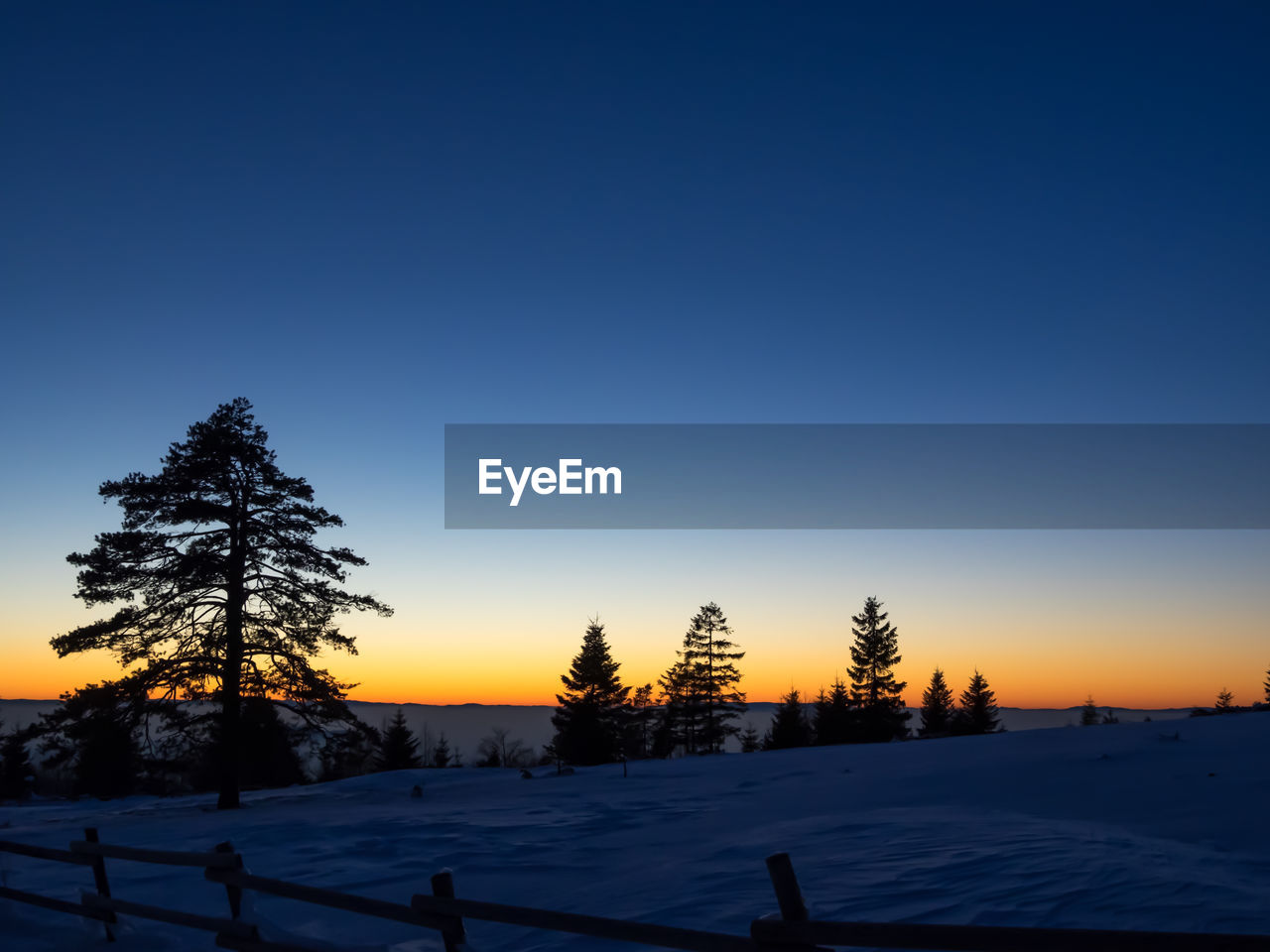 Silhouette trees on snow landscape against blue sky