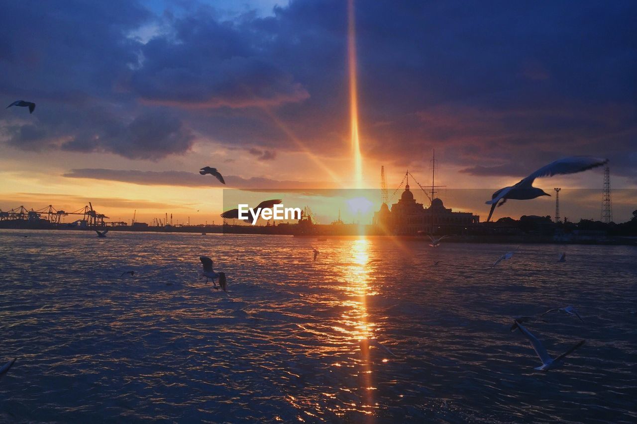 BIRDS FLYING OVER SEA AGAINST DRAMATIC SKY