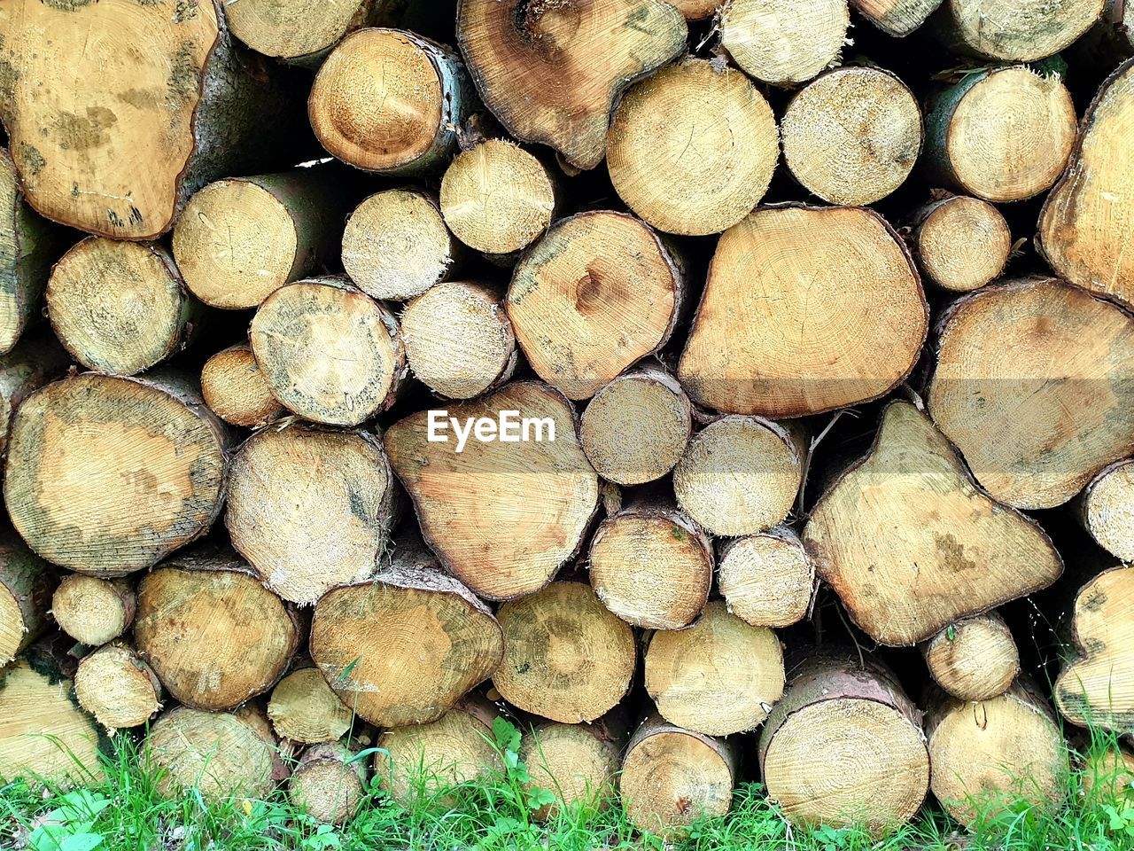 Full frame shot of logs