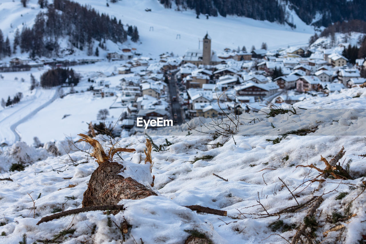 Snow covered landscape