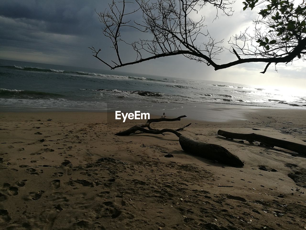 SCENIC VIEW OF BEACH