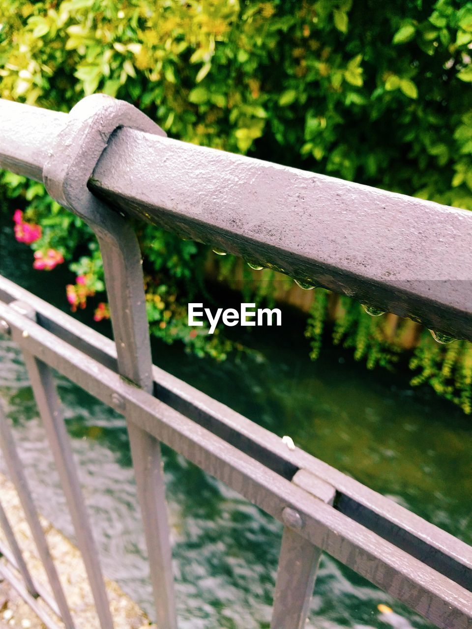 Detail shot of railing against plants