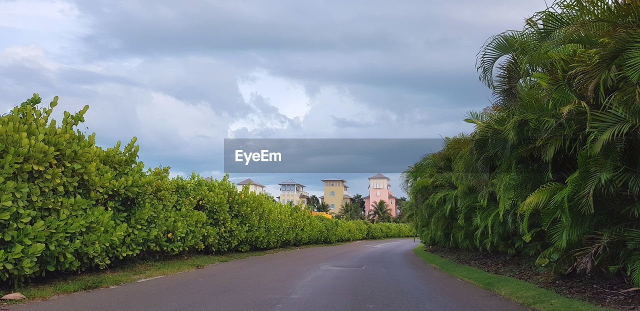 ROAD BY PALM TREES AGAINST SKY