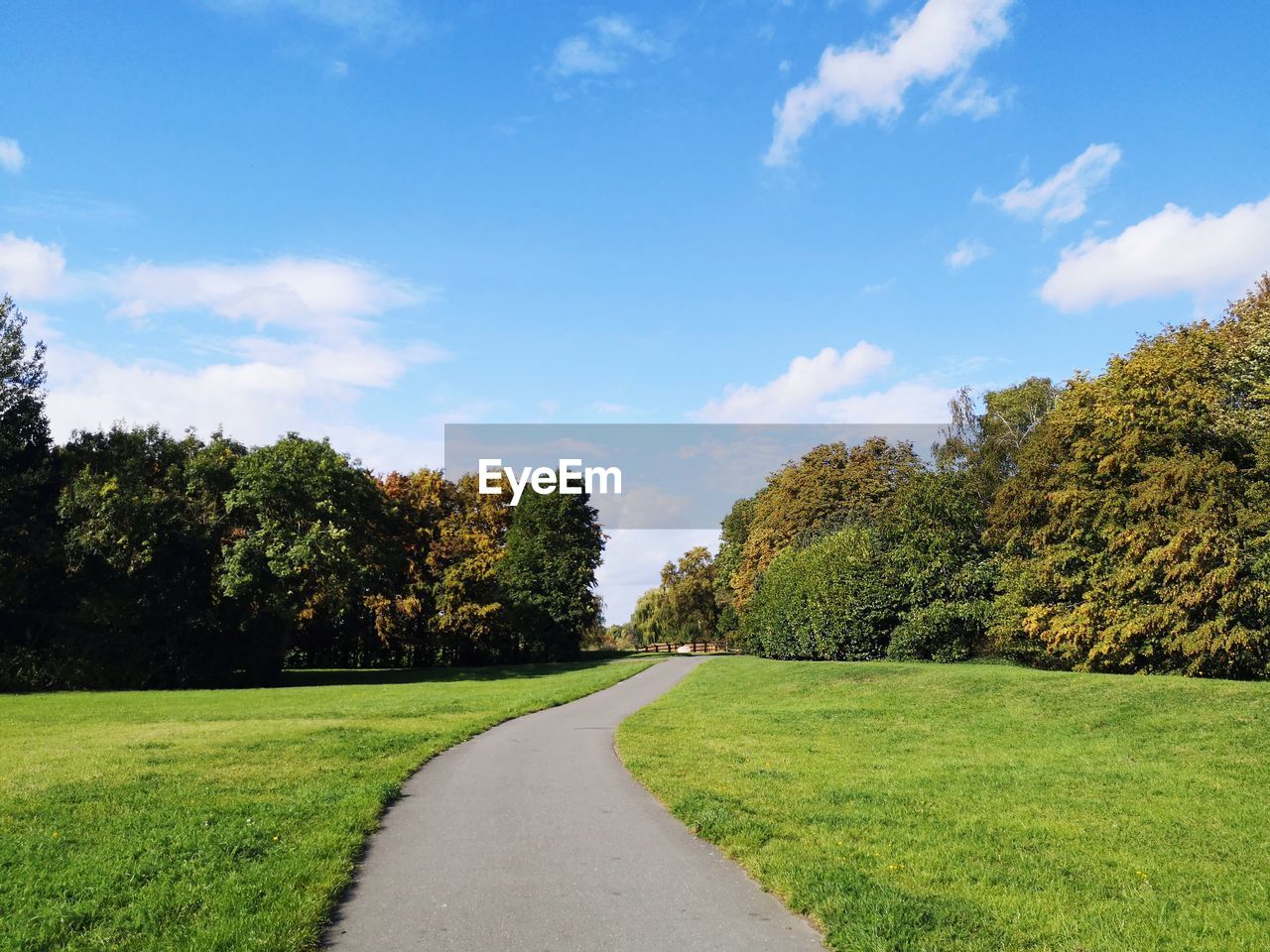 Empty road amidst trees against sky