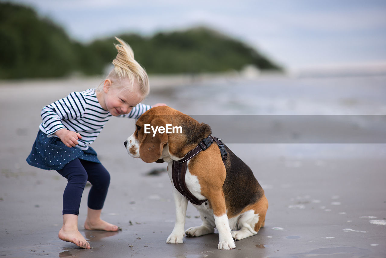 Girl and beagle on shore at beach