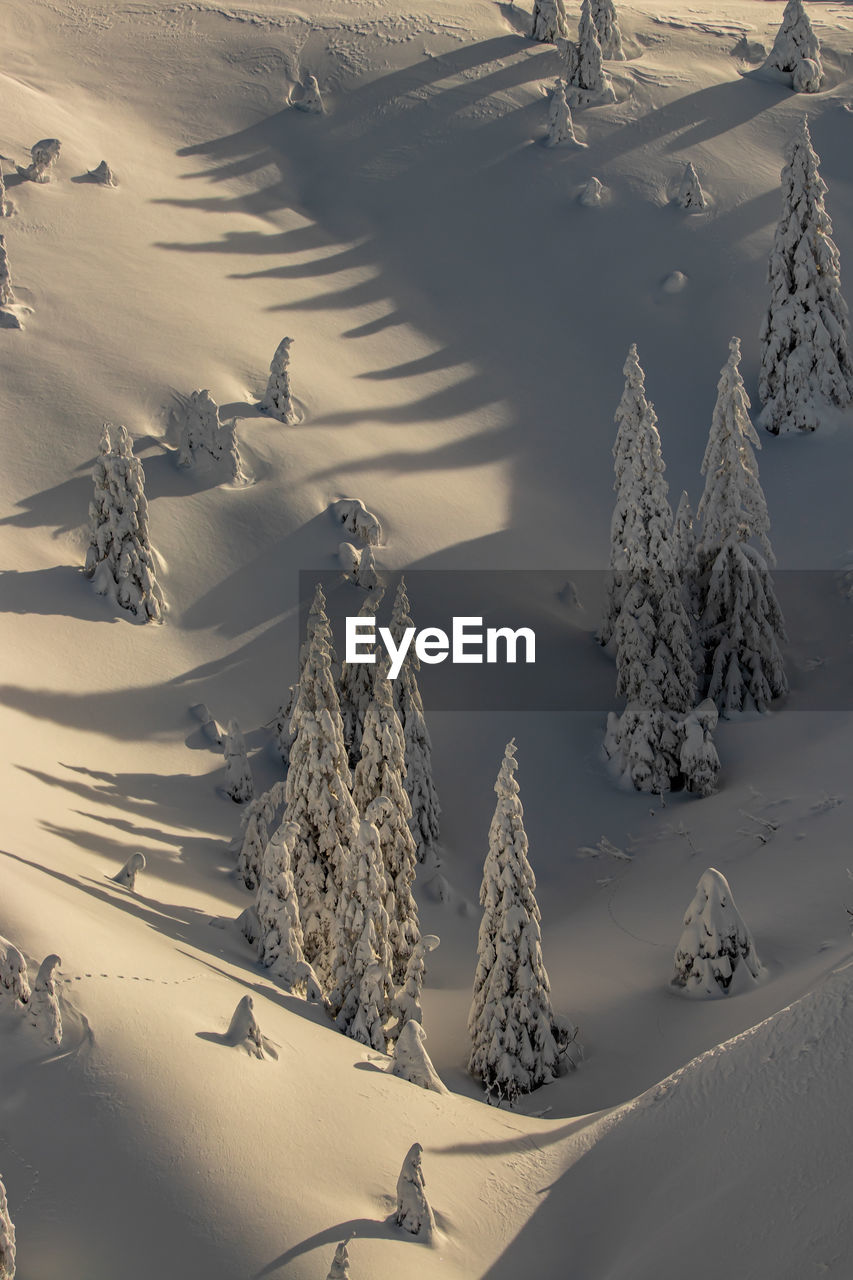 Mountains covered in snow