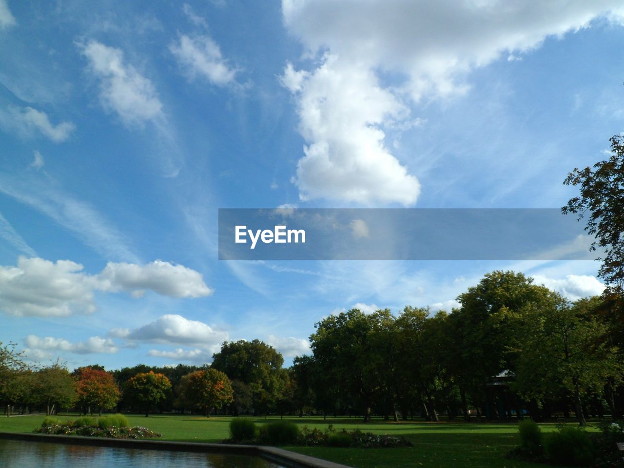 SCENIC VIEW OF TREES AGAINST SKY