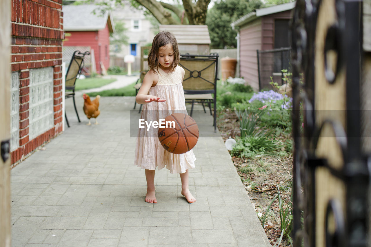 A small girl dribbles basketball in backyard with a chicken behind her