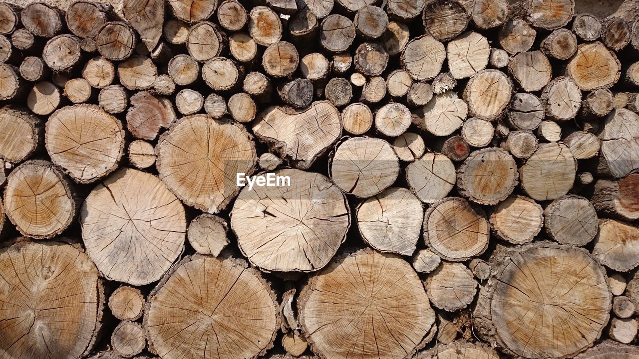 FULL FRAME SHOT OF LOGS IN THE FOREST