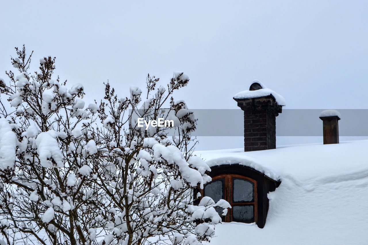 Low angle view of tree and roof against clear sky during winter