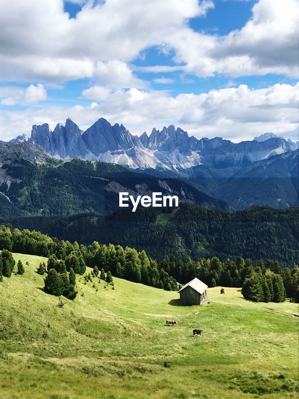 SCENIC VIEW OF LANDSCAPE AND MOUNTAIN AGAINST SKY