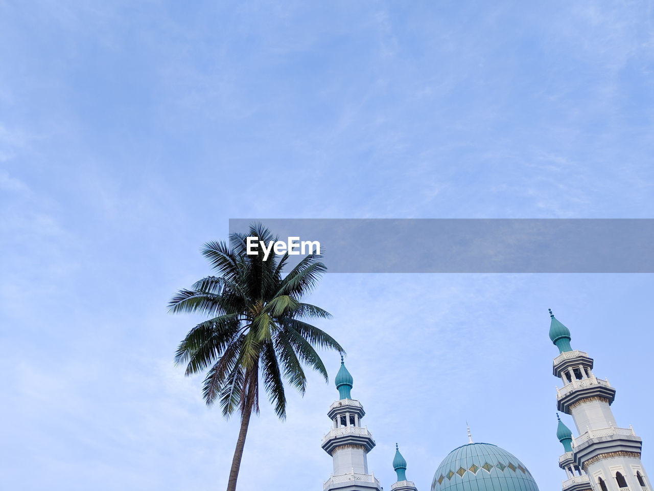 Low angle of palm tree and mosque roofline