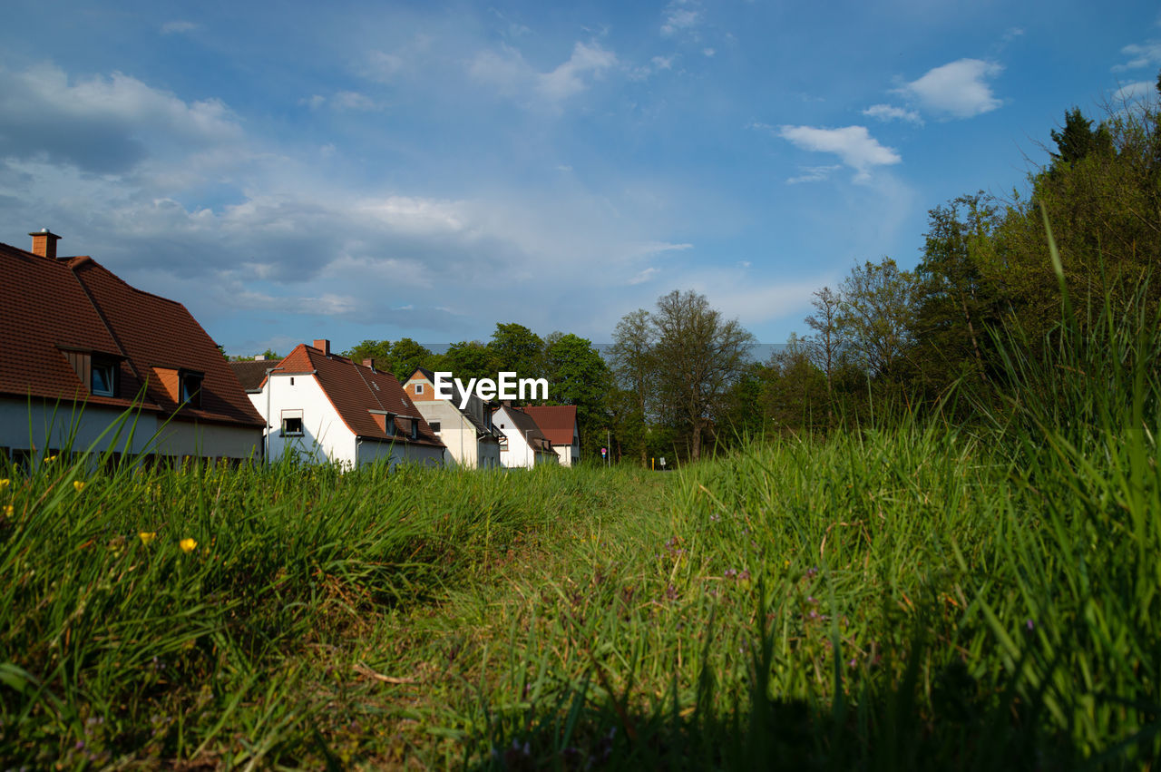 HOUSES BY TREES ON FIELD AGAINST SKY