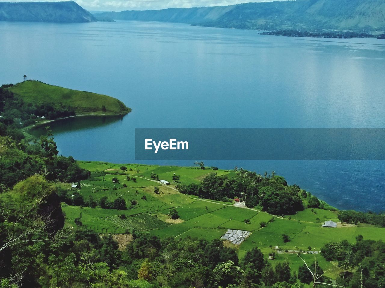 High angle view of sea and trees