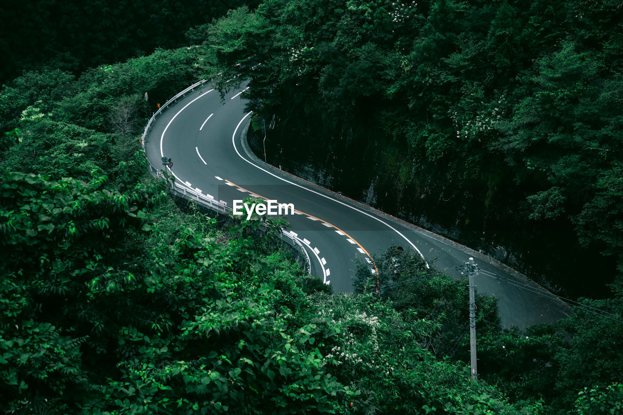 Road passing through forest